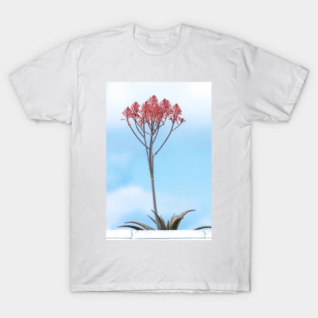 Tall Flowering Aloe T-Shirt by Debra Martz